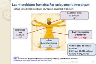 Les microbiotes humains: Pas uniquement intestinaux
59
BACTÉRIES
SUR
LA PEAU
1012
BACTÉRIES DANS
L’INTESTIN
1014 (1,5 kg)
BACTÉRIES DANS
LA BOUCHE
1010
Franck Rencurel BTS 2020
cellules
parenchymateuses
(1012)
Adapté de
J Obes. 2012; Is the Gut Microbiota a New Factor Contributing to Obesity and Its Metabolic Disorders?
Kristina Harris,1 Amira Kassis,2 Geneviève Major,2 and Chieh J. Chou 2
Cellules parenchymateuses: toutes sauf tissu de soutient et de stockage
Nombre total de cellules
humaines
3.1013,soit 30.000 milliards
(homme 7 0Kg,1m70)
 