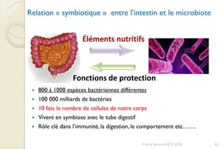 Relation « symbiotique » entre l’intestin et le microbiote
 800 à 1000 espèces bactériennes différentes
 100 000 milliards de bactéries
 10 fois le nombre de cellules de notre corps
 Vivent en symbiose avec le tube digestif
 Rôle clé dans l’immunité, la digestion, le comportement etc…….
Éléments nutritifs
Fonctions de protection
62Franck Rencurel BTS 2020
 