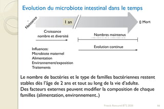 Franck Rencurel BTS 2020
Le nombre de bactéries et le type de familles bactériennes restent
stables dès l’âge de 2 ans et tout au long de la vie d’adulte.
Des facteurs externes peuvent modifier la composition de chaque
familles (alimentation, environnement..)
Evolution du microbiote intestinal dans le temps
1 an
66
Evolution continue
Nombres maintenus
Croissance
nombre et diversité
Influences:
Microbiote maternel
Alimentation
Environnement/exposition
Traitements
 