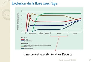 Evolution de la flore avec l'âge
Une certaine stabilité chez l’adulte
67Franck Rencurel BTS 2020
 