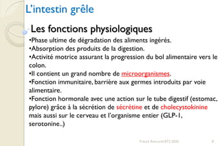 L’intestin grêle
Franck Rencurel BTS 2020 8
•Phase ultime de dégradation des aliments ingérés.
•Absorption des produits de la digestion.
•Activité motrice assurant la progression du bol alimentaire vers le
colon.
•Il contient un grand nombre de microorganismes.
•Fonction immunitaire, barrière aux germes introduits par voie
alimentaire.
•Fonction hormonale avec une action sur le tube digestif (estomac,
pylore) grâce à la sécrétion de sécrétine et de cholecystokinine
mais aussi sur le cerveau et l’organisme entier (GLP-1,
serotonine..)
Les fonctions physiologiques
 
