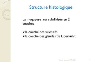 Franck Rencurel BTS 2020 9
La muqueuse est subdivisée en 2
couches
la couche des villosités
la couche des glandes de Liberkühn.
Structure histologique
 