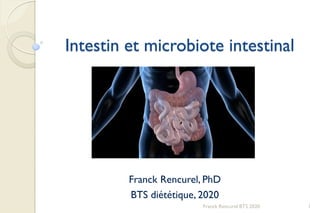 Intestin et microbiote intestinal
Franck Rencurel, PhD
BTS diététique, 2020
Franck Rencurel BTS 2020 1
 