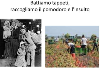 Battiamo tappeti,
raccogliamo il pomodoro e l'insulto
 