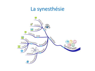 La synesthésie
 