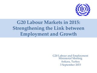 G20 Labour Markets in 2015:
Strengthening the Link between
Employment and Growth
G20 Labour and Employment
Ministerial Meeting
Ankara, Turkey
3 September 2015
 