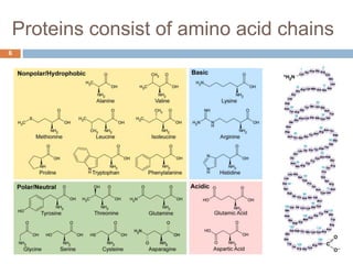 Docking & Designing Small Molecules within Rosetta Code Framework | PPTX