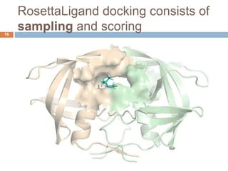 RosettaLigand docking consists of
sampling and scoring16
 
