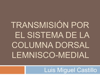 TRANSMISIÓN POR
 EL SISTEMA DE LA
COLUMNA DORSAL
LEMNISCO-MEDIAL
       Luis Miguel Castillo
 