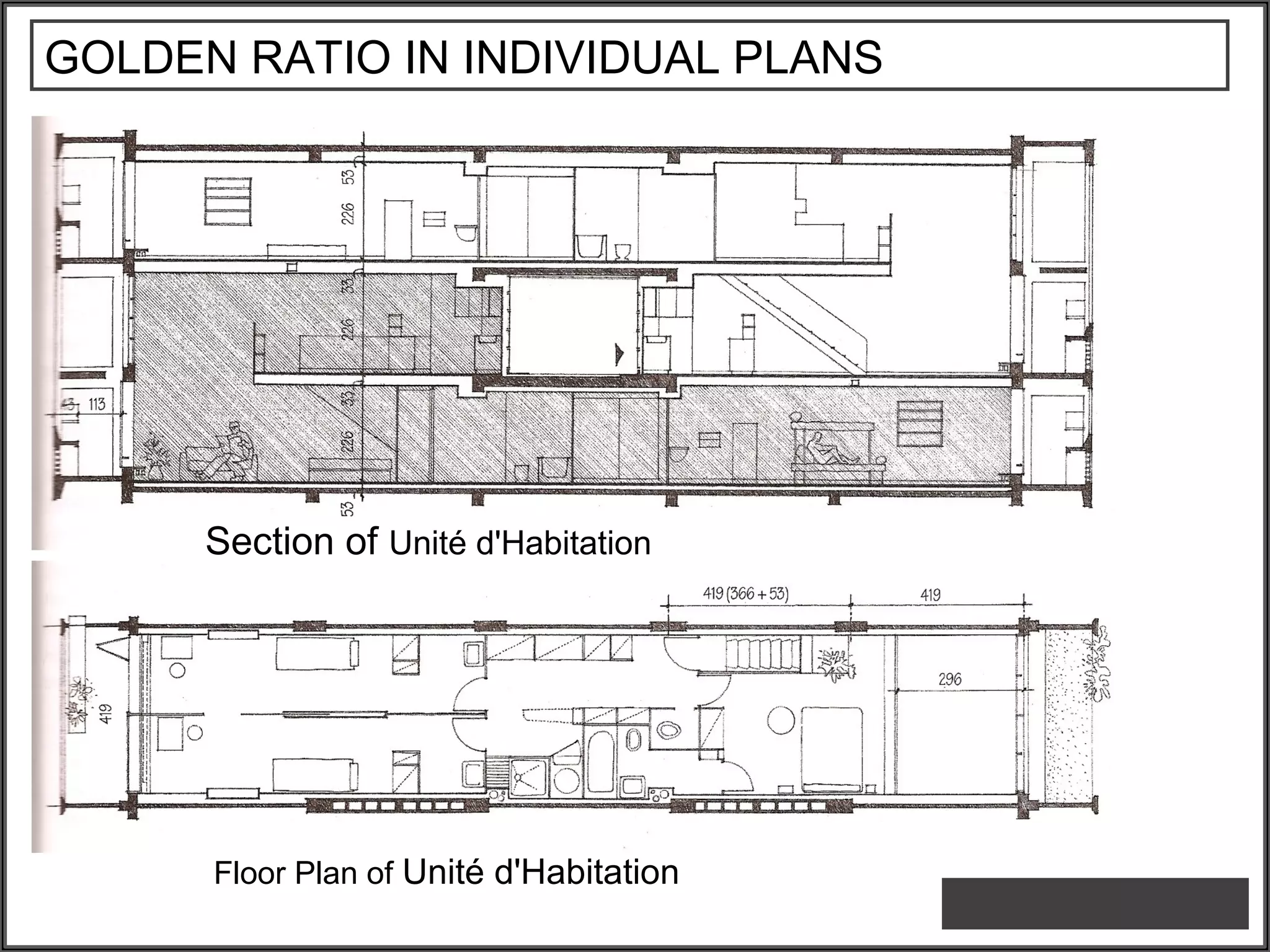 GOLDEN RATIO IN INDIVIDUAL PLANS
Section of Unité d'Habitation
Floor Plan of Unité d'Habitation
 
