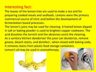 Interesting fact:
The leaves of the lemon tree are used to make a tea and for
preparing cooked meats and seafoods. Lemons were the primary
commercial source of citric acid before the development of
fermentation based processes.
The lemon’s juice may be used for cleaning. A halved lemon dipped
in salt or baking powder is used to brighten copper cookware. The
acid dissolves the tarnish and the abrasives assist the cleaning.
As a sanitary kitchen deodorizer the juice can deodorize, remove
grease, bleach stains, and disinfect ; when mixed with baking soda,
it removes stains from plastic food storage containers.
Lemon’s oil may be used in aromatherapy.
 