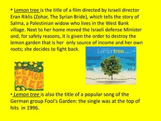 • Lemon tree is the title of a film directed by Israeli director
Eran Riklis (Zohar, The Syrian Bride), which tells the story of
Salma, a Palestinian widow who lives in the West Bank
village. Next to her home moved the Israeli defense Minister
and, for safety reasons, it is given the order to destroy the
lemon garden that is her only source of income and her own
roots; she decides to fight back.
• Lemon tree is also the title of a popular song of the
German group Fool's Garden: the single was at the top of
hits in 1996.
 