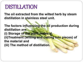 DISTILLATION
The oil extracted from the wilted herb by steam
distillation in stainless steel unit.
The factors influencing the oil production during
distillation are:
(i) Storage of the plant material,
(ii)Treatment (wilting and cutting into pieces) of
the material and
(iii) The method of distillation.
 
