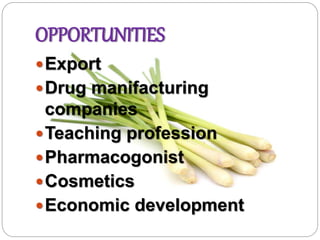 OPPORTUNITIES
Export
Drug manifacturing
companies
Teaching profession
Pharmacogonist
Cosmetics
Economic development
 