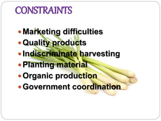 CONSTRAINTS
 Marketing difficulties
 Quality products
 Indiscriminate harvesting
 Planting material
 Organic production
 Government coordination
 