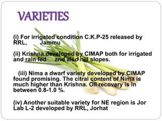 VARIETIES
(i) For irrigated condition C.K.P-25 released by
RRL, Jammu
(ii) Krishna developed by CIMAP both for irrigated
and rain fed and also hill slopes.
(iii) Nima a dwarf variety developed by CIMAP
found promising. The citral content of Nima is
much higher than Krishna. Oil recovery is in
between 0.8-1.0 %.
(iv) Another suitable variety for NE region is Jor
Lab L-2 developed by RRL, Jorhat
 