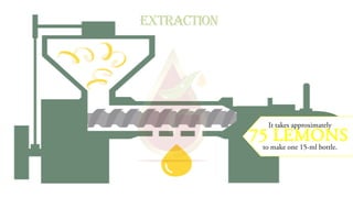 EXTRACTION
It takes approximately
75 LEMONS
to make one 15-ml bottle.
 