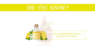 DID YOU KNOW ?
There are FIVE DROPS of lemon
essential oil in one lemon.
 