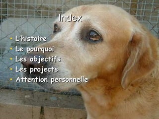 IndexIndex
• L’histoireL’histoire
• Le pourquoiLe pourquoi
• Les objectifsLes objectifs
• Les projectsLes projects
• Attention personnelleAttention personnelle
 
