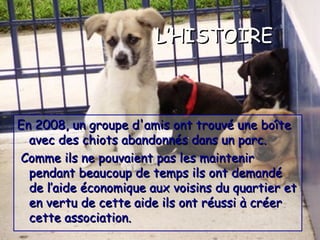 L’HISTOIREL’HISTOIRE
En 2008, un groupe d'amis ont trouvé une boîteEn 2008, un groupe d'amis ont trouvé une boîte
avec des chiots abandonnés dans un parc.avec des chiots abandonnés dans un parc.
Comme ils ne pouvaient pas les maintenirComme ils ne pouvaient pas les maintenir
pendant beaucoup de temps ils ont demandépendant beaucoup de temps ils ont demandé
de l’aide économique aux voisins du quartier etde l’aide économique aux voisins du quartier et
en vertu de cette aide ils ont réussi à créeren vertu de cette aide ils ont réussi à créer
cette association.cette association.
 
