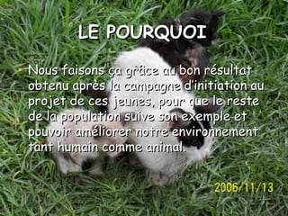 LE POURQUOILE POURQUOI
• Nous faisons ça grâce au bon résultatNous faisons ça grâce au bon résultat
obtenu après la campagne d’initiation auobtenu après la campagne d’initiation au
projet de ces jeunes, pour que le resteprojet de ces jeunes, pour que le reste
de la population suive son exemple etde la population suive son exemple et
pouvoir améliorer notre environnementpouvoir améliorer notre environnement
tant humain comme animal.tant humain comme animal.
 