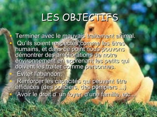 LES OBJECTIFSLES OBJECTIFS
• Terminer avec le mauvais traitement animal.Terminer avec le mauvais traitement animal.
• Qu’ils soient respectés comme les êtresQu’ils soient respectés comme les êtres
humains, et dans ce point nous pouvonshumains, et dans ce point nous pouvons
démontrer des améliorations de notredémontrer des améliorations de notre
environnement en apprenant les petits quienvironnement en apprenant les petits qui
doivent les traiter comme personnes.doivent les traiter comme personnes.
• Éviter l'abandon.Éviter l'abandon.
• Renforcer les capacités qui peuvent êtreRenforcer les capacités qui peuvent être
efficaces (des policiers, des pompiers ...)efficaces (des policiers, des pompiers ...)
• Avoir le droit d’ un foyer, d’une famille, etc...Avoir le droit d’ un foyer, d’une famille, etc...
 