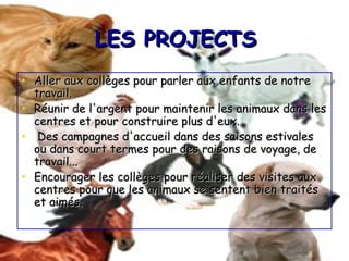 LES PROJECTSLES PROJECTS
• Aller aux collèges pour parler aux enfants de notreAller aux collèges pour parler aux enfants de notre
travail.travail.
• Réunir de l'argent pour maintenir les animaux dans lesRéunir de l'argent pour maintenir les animaux dans les
centres et pour construire plus d'eux.centres et pour construire plus d'eux.
• Des campagnes d'accueil dans des saisons estivalesDes campagnes d'accueil dans des saisons estivales
ou dans court termes pour des raisons de voyage, deou dans court termes pour des raisons de voyage, de
travail...travail...
• Encourager les collèges pour réaliser des visites auxEncourager les collèges pour réaliser des visites aux
centres pour que les animaux se sentent bien traitéscentres pour que les animaux se sentent bien traités
et aimés.et aimés.
 
