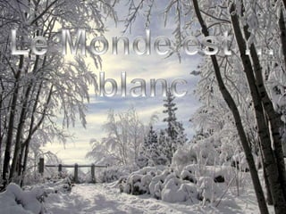 Le monde est … blanc