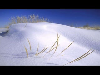 Le monde est … blanc III