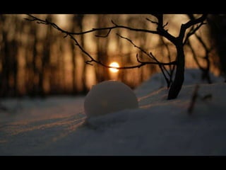 Le monde est … blanc III