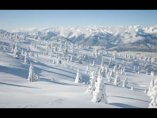 Le monde est … blanc III