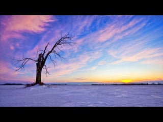 Le monde est … blanc III