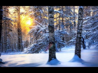 Le monde est … blanc III