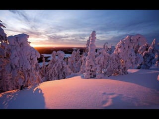 Le monde est … blanc III