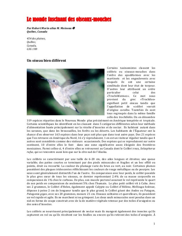 Le Monde Fascinant Des Oiseaux Mouches