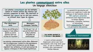Les plantes communiquent entre elles
Un langage silencieux
La sensibilité des plantes est
similaire voir supérieur à celle...