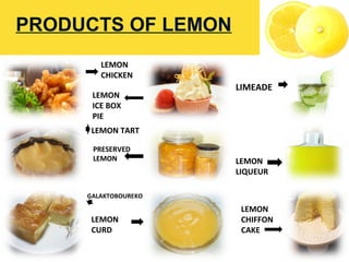 PRODUCTS OF LEMON
LEMON
CHICKEN
LEMON TART
GALAKTOBOUREKO
LEMON
ICE BOX
PIE
PRESERVED
LEMON
LEMON
CURD
LEMON
LIQUEUR
LIMEADE
LEMON
CHIFFON
CAKE
 