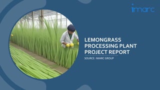Lemongrass Processing Plant Project Report.pptx