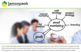 Lemon Peak's Marketing support services provides Improved Customer Service, Order Taking, Email and Chat Support and addi-tional 
services that offer a one-stop shop solution for your business requirements. Our team of experienced experts have worked 
with companies , ranging from many small scale entities of 5 employees to as many as 5,000 employees around the globe. 
