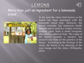 More than just an ingredient for a lemonade
stand
                   In the past the citrus fruit known as the
                   lemon has been associated with the
                   lemonade stand only. However, the
                   lemon currently has numerous health
                   benefits and is used in a variety of foods.
                   Lemons grow from a small evergreen
                   tree which is native to Asia. The origin of
                   the lemon remains a mystery but
                   research was done on the genetics of the
                   lemon. According to the findings of the
                   study, the lemon is an offspring of the
                   sour orange and the citron. (Wikipedia,
                   2012)
 