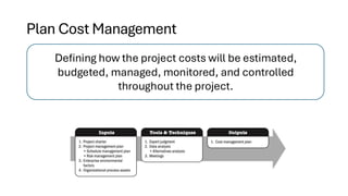 Plan Cost Management
Defining how the project costs will be estimated,
budgeted, managed, monitored, and controlled
throughout the project.
 