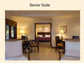 Senior Suite 