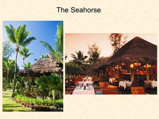 The Seahorse  