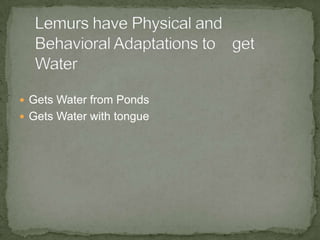  Gets Water from Ponds
 Gets Water with tongue
 