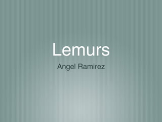 Lemurs
Angel Ramirez
 