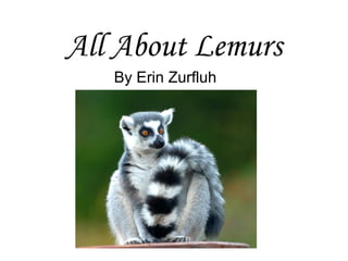 All About Lemurs By Erin Zurfluh 