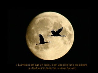 « L’amitié n’est pas un soleil, c’est une jolie lune qui éclaire surtout le soir de la vie. » (Anne Barratin)