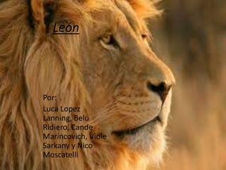 León

Por:
Luca Lopez
Lanning, Belu
Ridiero, Cande
Marincovich, Viole
Sarkany y Nico
Moscatelli

 