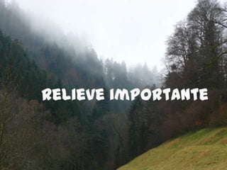 Relieve importante