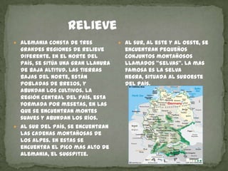                RelieveAlemania consta de tres grandes regiones de relieve diferente. En el norte del país, se sitúa una gran llanura de baja altitud. Las tierras bajas del norte, están pobladas de Brezos, y abundan los cultivos. La región central del país, esta formada por mesetas, en las que se encuentran montes suaves y abundan los ríos. Al sur del país, se encuentran las cadenas montañosas de los Alpes. En estas se encuentra el pico mas alto de Alemania, el Sugspitze.Al sur, al este y al oeste, se encuentran pequeños conjuntos montañosos llamados “Selvas”. La mas famosa es la Selva Negra, situada al suroeste del país.